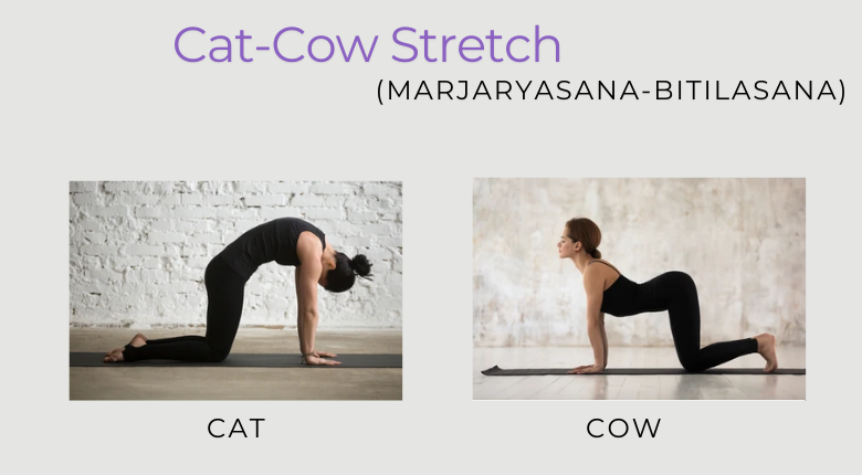 Cat-Cow Stretch (Marjaryasana-Bitilasana)